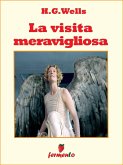 La visita meravigliosa (eBook, ePUB)