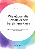 Wie eSport die Soziale Arbeit bereichern kann. Möglichkeiten eines neuen Arbeitsumfelds für junge Sozialarbeiter (eBook, PDF)