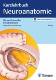 Kurzlehrbuch Neuroanatomie (eBook, PDF)