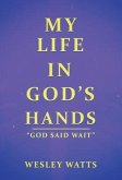 My Life in God's Hands (eBook, ePUB)