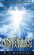 Angelic Visitations (eBook, ePUB) - Bild 1