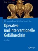 Operative und interventionelle Gefäßmedizin (eBook, PDF)
