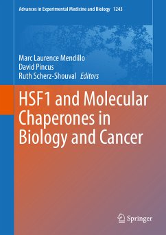 HSF1 and Molecular Chaperones in Biology and Cancer (eBook, PDF)