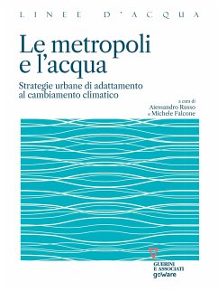 Le metropoli e l’acqua. Strategie urbane di adattamento al cambiamento climatico (eBook, ePUB) - cura di Alessandro Russo e Michele Falcone, a