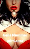 Geile Nummer mit Santa (eBook, ePUB)