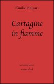 Cartagine in fiamme (eBook, ePUB)