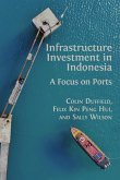 Infrastructure Investment in Indonesia (eBook, ePUB)