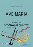 Ave Maria (Gounod) Woodwind Quintet set of PARTS (fixed-layout eBook, ePUB)