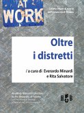 Oltre i distretti (eBook, ePUB)