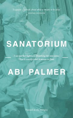 Sanatorium (eBook, ePUB) - Palmer, Abi