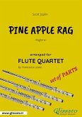 Pine Apple Rag - Flute Quartet set of PARTS (fixed-layout eBook, ePUB)