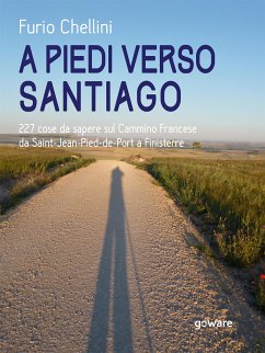 A piedi verso Santiago. 227 cose da sapere sul Cammino Francese da Saint-Jean-Pied-de-Port a Finisterre (eBook, ePUB) - Chellini, Furio