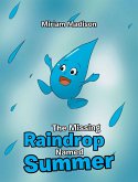 The Missing Raindrop Named Summer (eBook, ePUB)