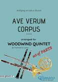 Ave Verum (Mozart) - Woodwind Quintet set of PARTS (fixed-layout eBook, ePUB)