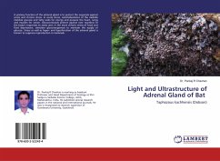 Light and Ultrastructure of Adrenal Gland of Bat - Chavhan, Pankaj R.