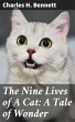 The Nine Lives of A Cat: A Tale of... - Bild 1