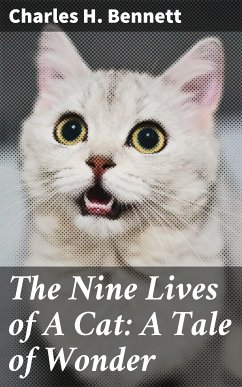 The Nine Lives of A Cat: A Tale of Wonder (eBook, ePUB) - Bennett, Charles H.