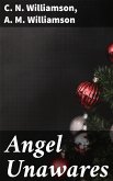 Angel Unawares (eBook, ePUB)