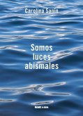 Somos luces abismales (eBook, ePUB)