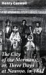 The City of the Mormons; or, Three Days... - Bild 1