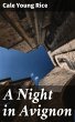A Night in Avignon (eBook, ePUB) - Bild 1