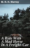 A Ride With A Mad Horse In A Freight-Car (eBook, ePUB)