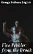 Five Pebbles from the Brook (eBook,... - Bild 1