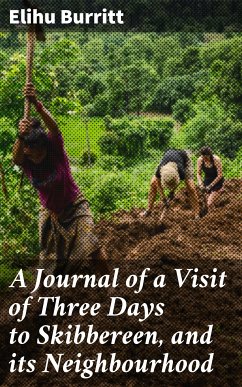 A Journal of a Visit of Three Days to Skibbereen, and its Neighbourhood (eBook, ePUB) - Burritt, Elihu