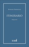 Itinerario (eBook, ePUB)