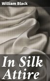 In Silk Attire (eBook, ePUB)