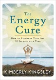 The Energy Cure (eBook, ePUB) The Energy Cure (eBook, ePUB)