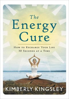 Cover The Energy Cure (eBook, ePUB)