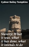 Slavery: What it was, what it has done, what it intends to do (eBook, ePUB)