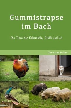 Gummistrapse im Bach - Polito, Christian