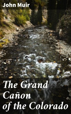 The Grand Cañon of the Colorado (eBook, ePUB) - Muir, John