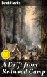 A Drift from Redwood Camp (eBook, ePUB) - Bild 1