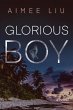 Glorious Boy (eBook, ePUB) - Bild 1