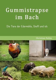 Gummistrapse im Bach (eBook, ePUB) - Polito, Christian