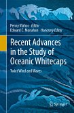 Recent Advances in the Study of Oceanic Whitecaps (eBook, PDF)