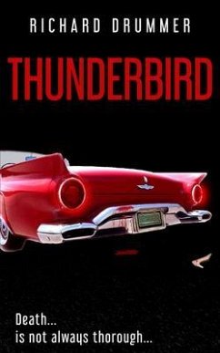 Thunderbird (eBook, ePUB) - Drummer, Richard