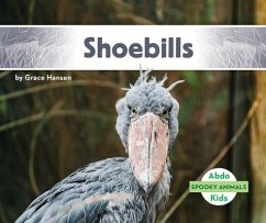 Shoebills - Hansen, Grace