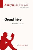 Grand frère de Mahir Guven (Analyse de l'oeuvre)