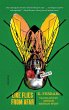 Like Flies from Afar - Bild 1