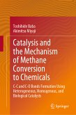 Catalysis and the Mechanism of Methane Conversion to Chemicals (eBook, PDF)