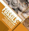 Fossils - Bild 1