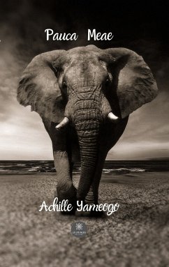 Pauca Meae (eBook, ePUB) - Yameogo, Achille