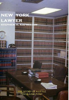 Cover New York Lawyer (eBook, ePUB)