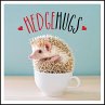 Hedgehugs (eBook, ePUB) - Bild 1