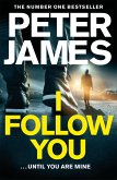 I Follow You (eBook, ePUB)