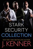 Stark Security (eBook, ePUB)